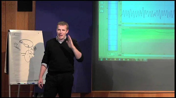 TEDxPortsmouth - Dr. Alan Watkins - Being Brillian...