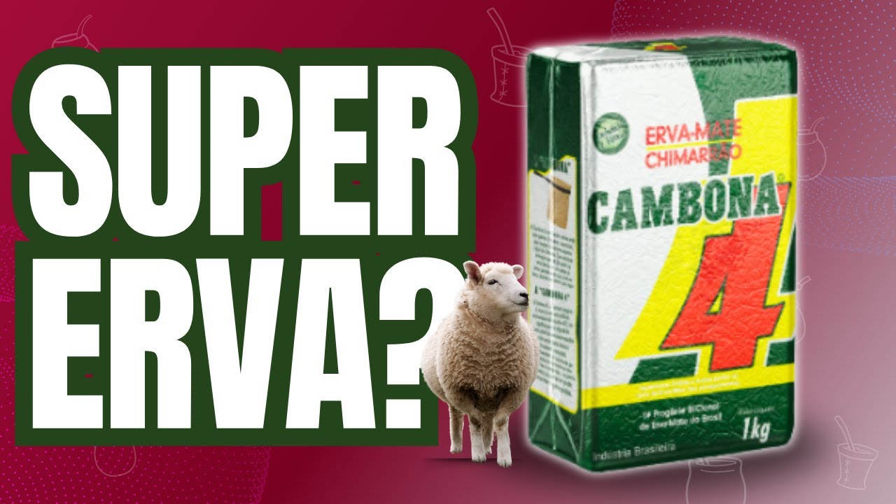 REVIEW CAMBONA 4 - A ERVA MATE DIFERENTE DE TUDO