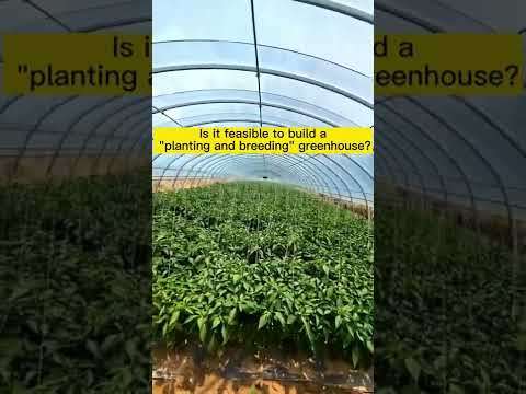 Is it feasible to build a