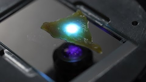 AI-powered microscope could check cancer margins in minutes