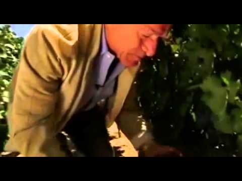 გადაცემა \"დიდი ბიზნესი\" - რობერტ მონდავი