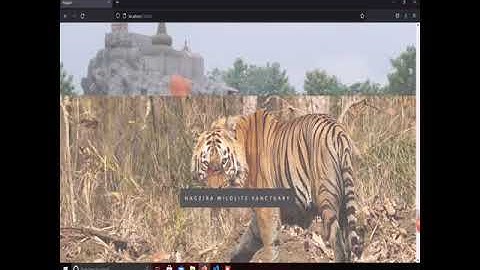Parallax Effect ( Html & Css only ) #youtube_shorts #youtube  #shorts #html #css