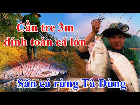 Hành trình 4