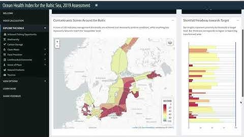 Baltic Health Index Shiny App tutorial