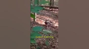 SHOCKING Goblin Creature Caught on Camera in the Woods 😳 #shorts