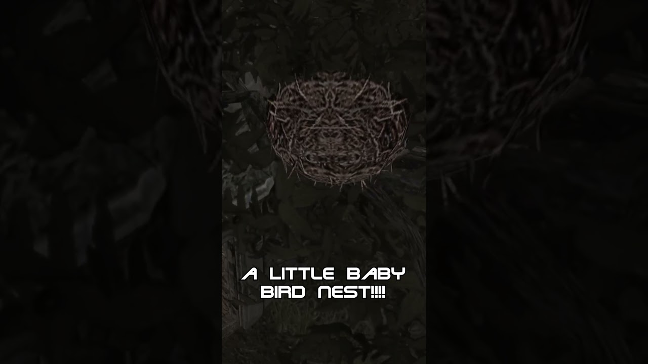RE4's Secret Baby Birds