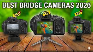 ✅Top 5 Best Bridge Cameras in 2026 - Ultra-Zoom, Wildlife & Travel Options! screenshot 4