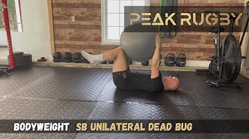 How to Do Unilateral Dead Bug with Stability Ball | Core Stability & Anti-Rotation Exercise