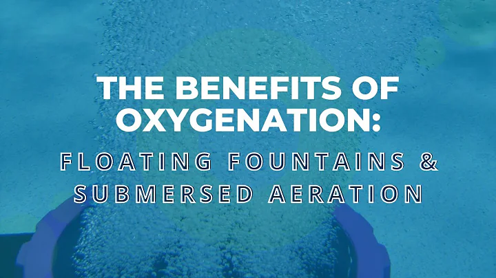 How to Increase Dissolved Oxygen In Ponds: Exploring Pond Aerators and Floating Fountains