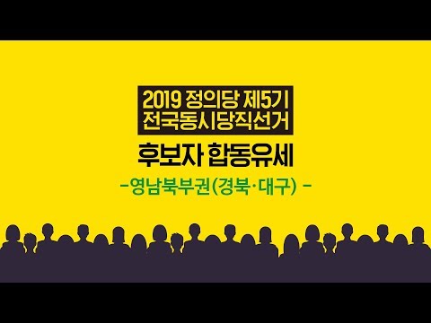 정의당 2019년 전국동시당직선거 - 당대표 및 부대표 지역 유세 (대구·경북)