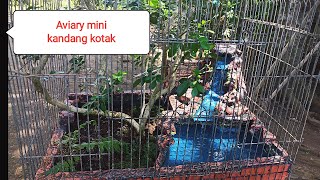 aviary mini dengan air mancur. #aviari dalam kandang. #air terjun dalam kandang