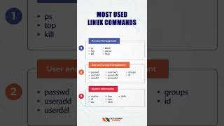 Most Used Linux Commands 🐧💻