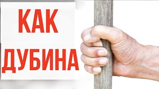 НАТУРАЛЬНОЕ средство для потенции, очищения сосудов и кровообращения/  Мужское здоровье..