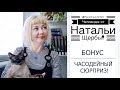 #ПисательскоеЛето | БОНУС. Часодейный сюрприз || НАТАЛЬЯ ЩЕРБА