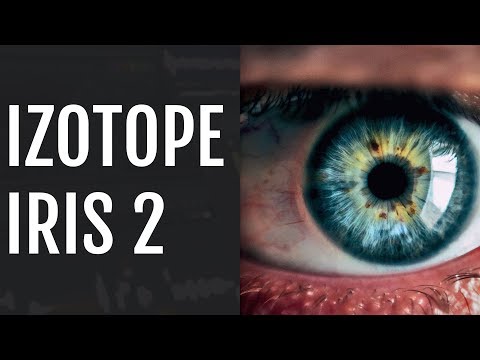 Izotope Iris 2 | Demo & Review