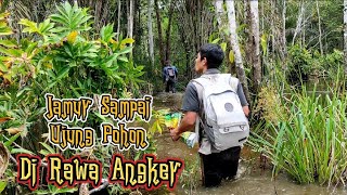 Cari Sarang Kelulut Nemu Jamur Sampai Ujung Pohon Di Rawa Angker