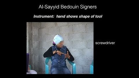 CARTA: How Language Evolves: Contrasts Between New and Mature Languages