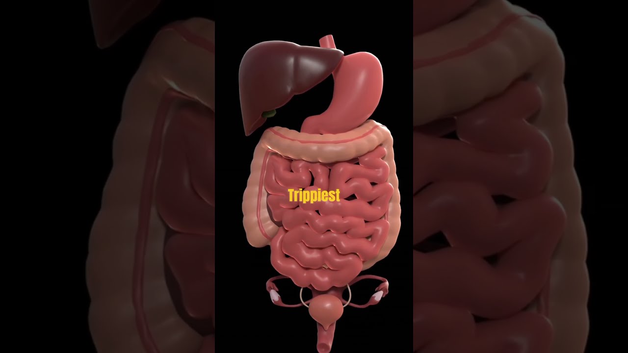 3 Weird Facts That Will BREAK Your Brain Fyp Viral Trending Shorts Funfacts