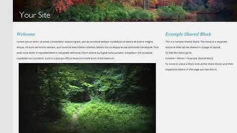 How to Install Yii2CMS