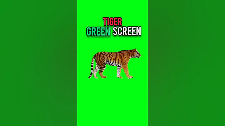 Tiger walking green screen animation video#animation #chromakey #cartoon #dailygreenscreen #shorts