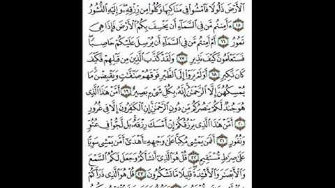 سورة الملك   احمد العجمي 