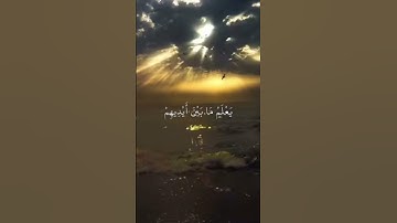 (ٱللَّهُ لَآ إِلَٰهَ إِلَّا هُوَ)آية الكرسي للقارئ بيشة وا قادر الكردي حفظه الله ورعاه