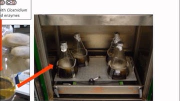 The Production of Butanol by E. coli and its Use as a Biofuel