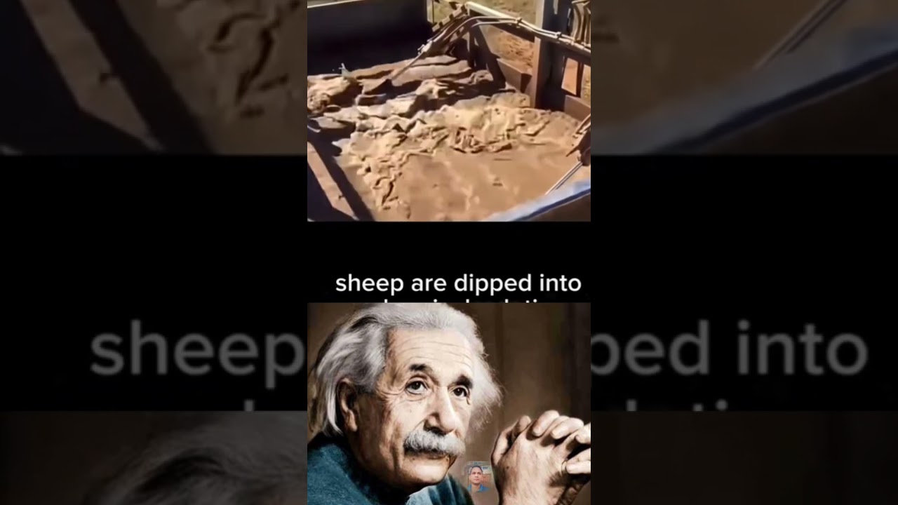 #shorts #physics #science #alberteinstein #sigma