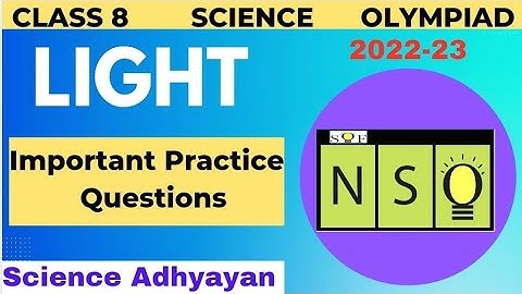 Light Class 8 | Science Olympiad | NSO | Practice Questions | SOF | Class 8 Science