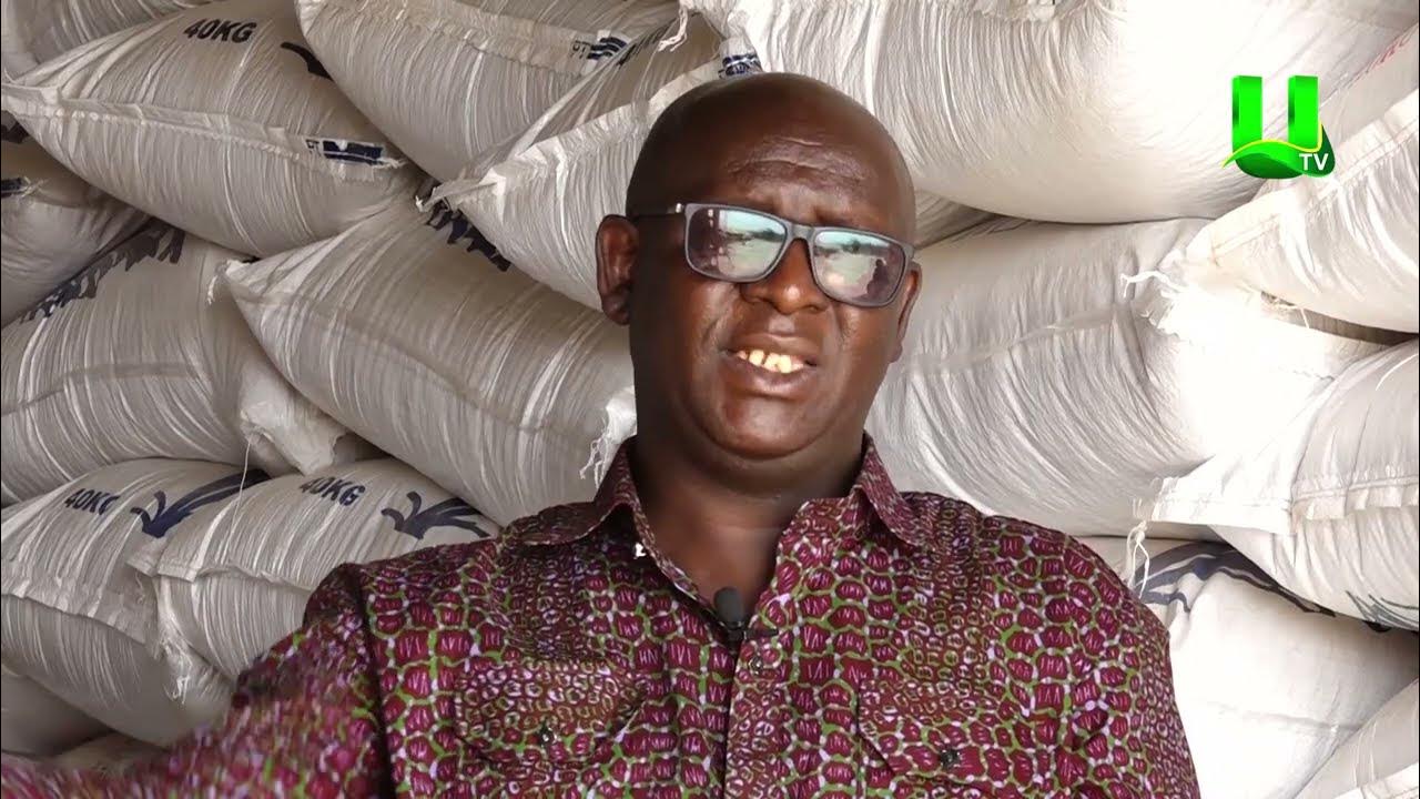 AYEKOO: WE HAVE ENOUGH SEEDS FOR 2024 FARMING SEASON – DR FRANCIS KUSI