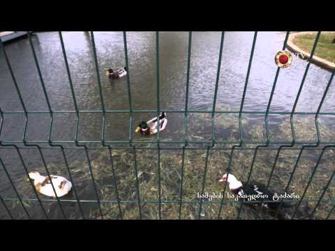 4 26 სამება