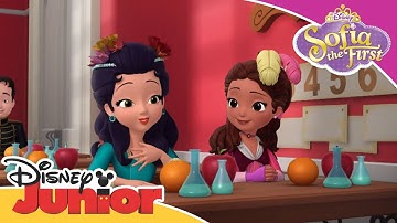 Weekend Stacks - Sofia the First - To Be A Know-It-All | Official Disney Junior Africa