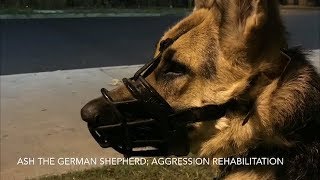 katana k9 academy