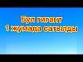 Бул гигант сатылды! Ээсине чалбагыла