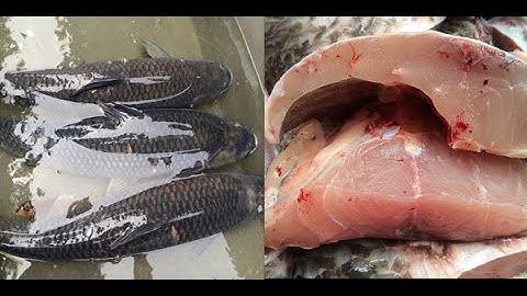 Cá Kho Bà Dậu, Cá Kho Làng Vũ Đại, ĐT 0985439019