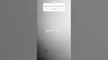 اية فراغ إلى الهتهم فقال أفلا تأكلون بصوت الشيخ ياسر الدوسري 