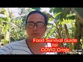 Food Survival Guide for COVID Crisis Part 6 [Papaya]