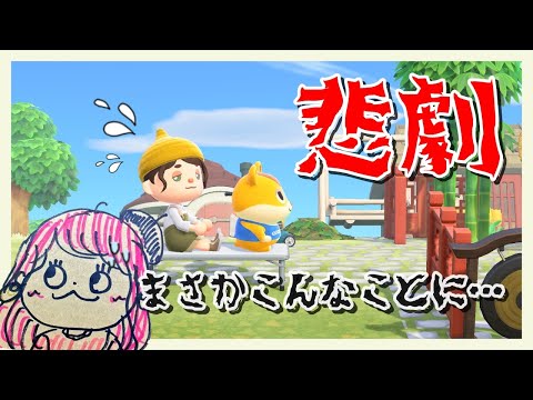 元気いっぱいのハムスケに悲しい事件が起きる あつまれどうぶつの森 #5【まんさや】