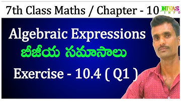Algebraic Expressions | Exercise - 10.4 | 7th Class Maths | Chapter - 10 | Nivas Info