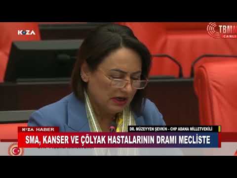 SMA, KANSER VE ÇÖLYAK HASTALARININ DRAMI MECLİSTE