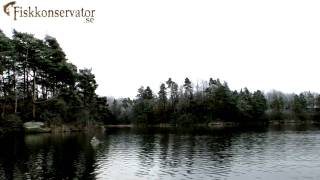 Player Profile Fiska vintergädda med Lubbe - Wintertime pike fishing with Lubbe