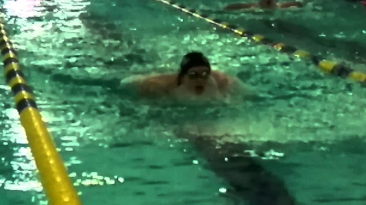 Skyler's 100 Butterfly Shark Chase