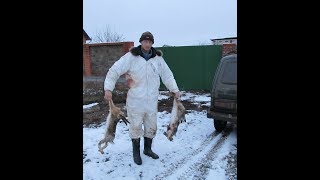 Охота на зайца 2017-2018г закрытие сезона. Охота на зайца 2017-2018г закрытие сезона.