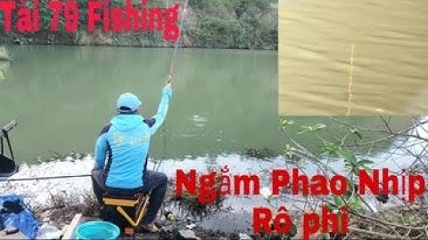 Câu Cá , Ngắm phao , Câu Cá Rô Phi Mùa Đông .