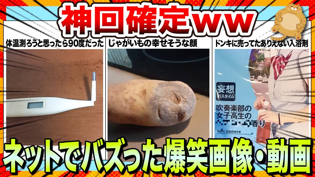 【🔥爆笑】年末は笑いで今年の嫌な思い出を全て忘れようwwwネットでバズりまくったおもしろ画像＆動画集www【2ch】【5ch】【ゆっくり解説】【コメ付き】【面白画像】