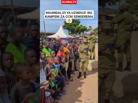 VIDEO MAANDALIZI YA UZINDUZI WA KAMPENI ZA CCM SENGEREMA Globaltv Shortvideo Ccm Raissamia