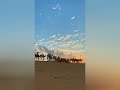 اغنية هي هي صحراء الجزائر الرجل الصحراوي