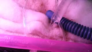 20121130_140856.mp4