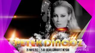 Petek Dinçöz 12. Geleneksel Koçarlı Çam Fıstığı Festivali 20 Mayıs 2017