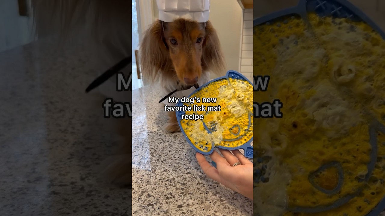 Roswell’s Lick Mat is microwave safe, link in my bio!🥰💙 